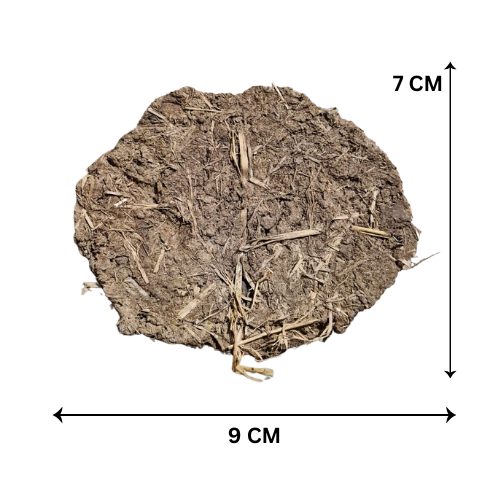Natural Dry Cow Dung Cake (7×9 cm) | Pack of 100| Pure Organic Gobar Upla for Havan & Puja (Copy) (Copy)