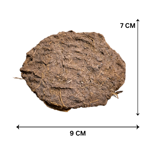 Natural Dry Cow Dung Cake (7×9 cm) | Pack of 100| Pure Organic Gobar Upla for Havan & Puja (Copy) (Copy)
