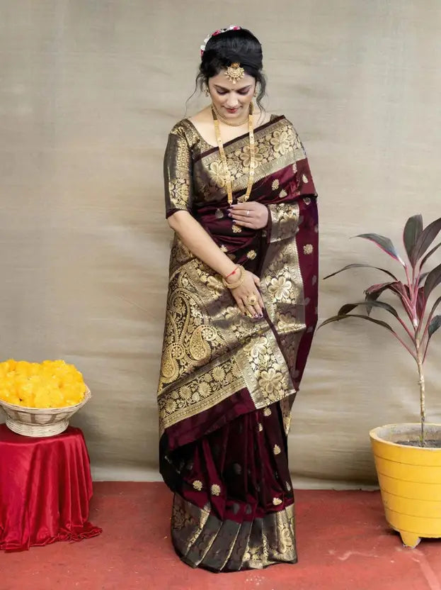 NEW TRADITIONAL SAREE FOR WOMEN