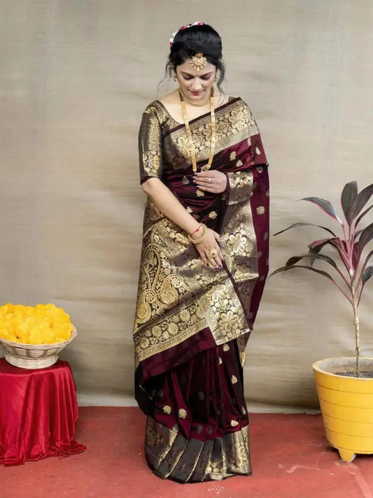 NEW TRADITIONAL SAREE FOR WOMEN