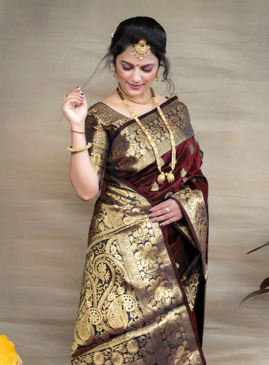 NEW TRADITIONAL SAREE FOR WOMEN